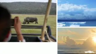 10 Day Kenyan Safari | Lion Safari