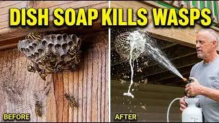 How To Kill Wasps With Dish Soap
