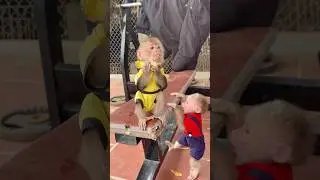 Two little monkeys share fruit with each other.🍌🥰