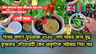 Hobby gardening UK 2025: Old farmer's traditional organic natural mustard cake fertiliser for naga