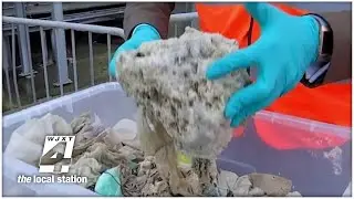 Why you actually shouldn&rsquo;t flush &lsquo;flushable&rsquo; wipes