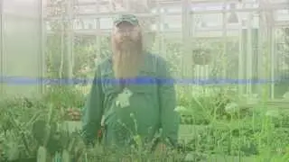 Fall Bulb Planting Tips from Denver Botanic Gardens' Mike Bone