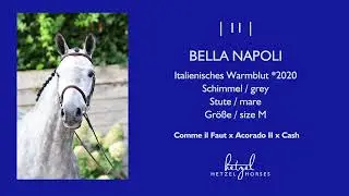11 | Bella Napoli (Comme il Faut x Acorado II x Cash) | Holger Hetzel Sport Horse Sales 2025