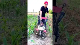 #agricultralusa#farmmachinery #youtubeshorts #agriculturalmachinery #machineusa#agricultral usa