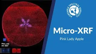Bruker M4 TORNADO Scan of a Pink Lady Apple | Micro XRF Scan