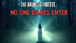 The Truth Behind the Haunted Forests of America : Freetown-Fall River State Forest