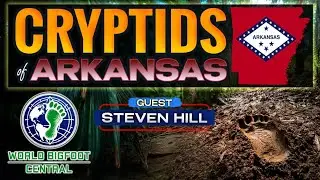 CRYPTIDS of ARKANSAS! / Steven Hill