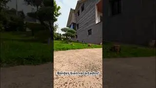 Bordes bien recortados. #jardin #jardineria #paratii #foryou #viral #bonsai #shorts