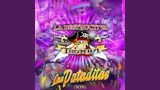 Las Pataditas (Son)
