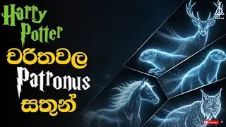 Harry Potter චරිතවල Patronus සතුන් 🦌 | Harry Potter Character Patronus Explained