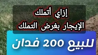 #إزاي_اتملك_الإيجار_بغرض_التملك#للبيع_200_فدان_مركز_الخارجة#اراضي_الوادي_الجديد#أراضي_زراعية#اراض
