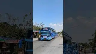 rombongan bus pandawa 87 #busmania #basuri #shorts #trukoleng