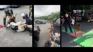 V CURSO DE CINOTECNIA POLICIAL MILITAR - BPCHOQUE - PMPR