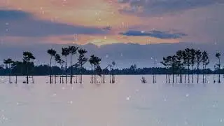Relaxing Guitar No.17 |  | Music For Study