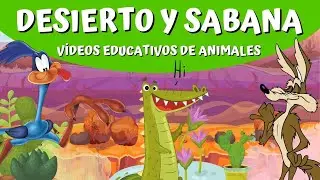 Animales del DESIERTO y la SABANA: ¿cuáles son?