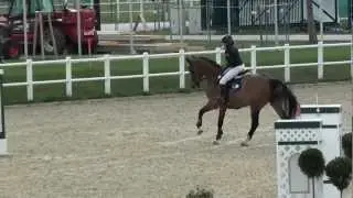 Alcapone de Vanta 3