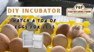 How to make an egg hatching incubator from a mini fridge 