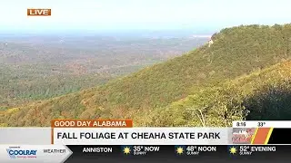 Fall foliage at Cheaha State Park