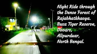 Night Ride through the Rajabhatkhaoya Forest . Buxa Tiger Reserve . Dooars Traveller . Hero Glamour.