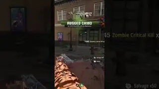 Maelstrom Rugged Camo Unlocked #gaming #bo6zombies #callofdutyzombies #callofduty #camo #ps5