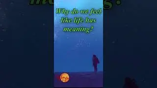 Do You Really Have a Purpose? | Life&rsquo;s Big Question Explained  #shorts #mystery #sciencefacts