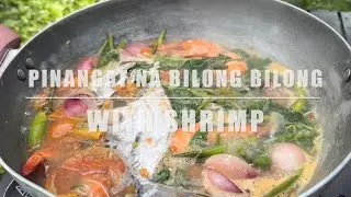 Bilong bilong & Shrimp #fishing #farming 
