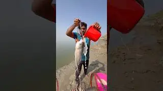 Giant Fish Hunting Traps By Hook  #fishinglife  #bait  #hook  #shorts