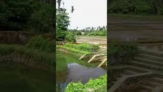 Greenery🤘❣️#kodakara #insanemallu #kerala  #greenery