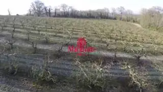 FROST Mac Ivors Orchards Sleeping