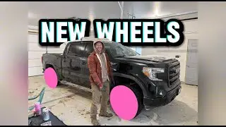 Episode 4: Ginger gets some wheels
