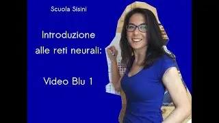 Introduzione alle reti neurali: video Blu numero 1