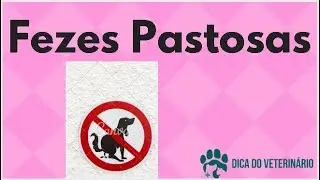 Filhote com Diarreia, Fezes Pastosa, O que Fazer? Cocô Mole Durante o Desmame