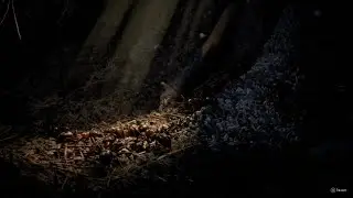 Les Fourmis Ps5 Pro EP01