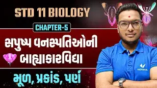 Std 11 Biology Ch 5  સપુષ્પ વનસ્પતિઓની બાહ્યાકારવિદ્યા🌱 | મૂળ, પ્રકાંડ & પર્ણ | Easy Explanation