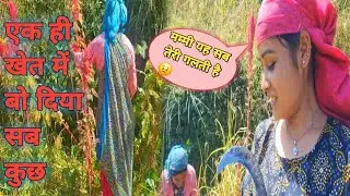 एक ही खेत मैं बो दी सारी फसल एक साथ🫢//anjinegivlog//paurigarhwal @anjinegi 🥰