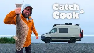 Van Life Catch and Cook: Halibut Fishing in Homer, Alaska