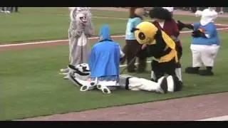 Mascot CPR!!!