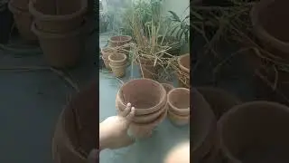 Gummle Aachuke hai 🤠 #04 Vlog #shorts