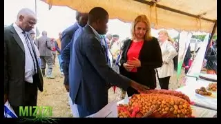 Learn from Nyandarua County Potato Farmers a major Irish Potato growing region - Part 1