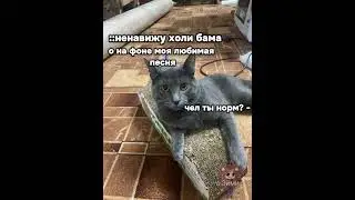 тг:Эйми ленд
