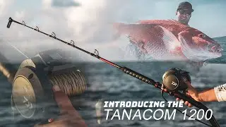 Przedstawiamy Daiwa Tanacom 1200