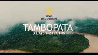 Tambopata – Puerto Maldonado 3 Days 2 Nights