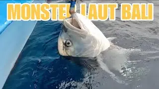 NGERI! TERLIHAT PENAMPAKAN IKAN MONSTER 20 KILO DI SPOT EXTREME!