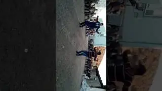 Davılgı