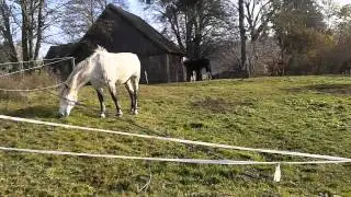 20141109 104054