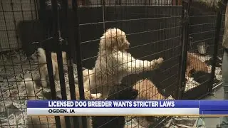 Licensed Dog Breeder Wants Stricter Laws