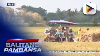 Paglilipat ng cropping calendar, nakikitang solusyon ng NIA para mapataas ang produksyon ng bigas...