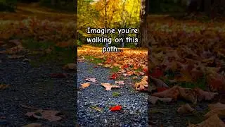 Nature brings out our senses. #nature #reflection #mindfulness