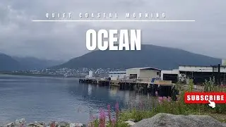 Quiet Coastal Morning Bliss | Romantic Morning by the Bay