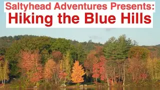 Hiking the Blue Hills of Boston with Saltyhead